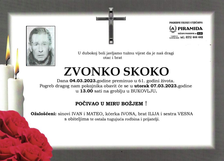 Skoko Zvonko 02